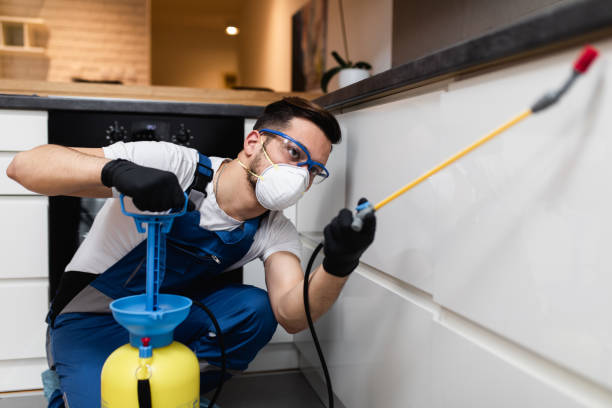 Best Termite Control Services  in Eatonton, GA