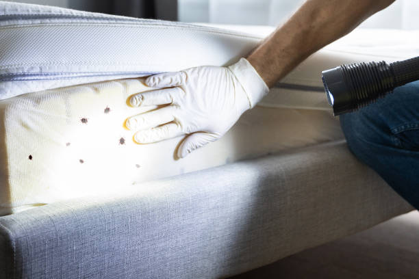 Best Flea Control Services  in Eatonton, GA