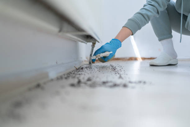 Pest Control Cost in Eatonton, GA